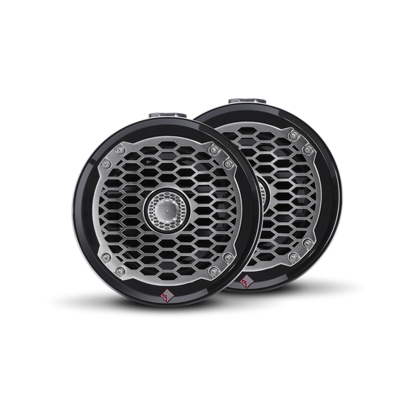 Front View of Speakers with Mesh Grilles