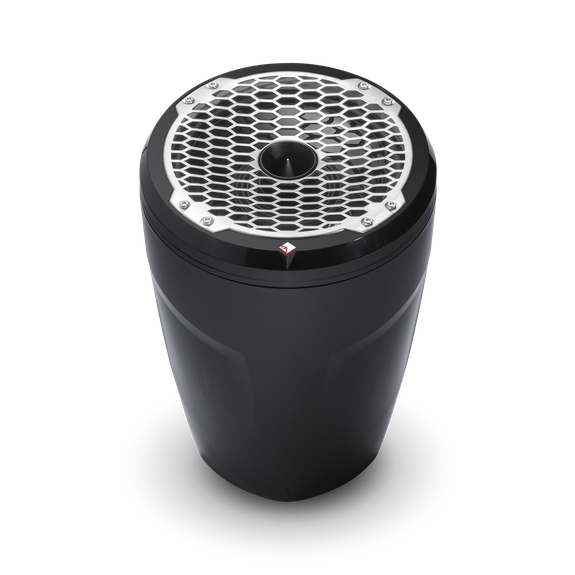 Profile View of Speaker