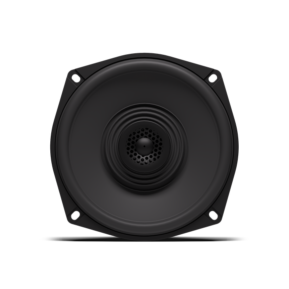 Detail View of 5.25" High Output Speaker