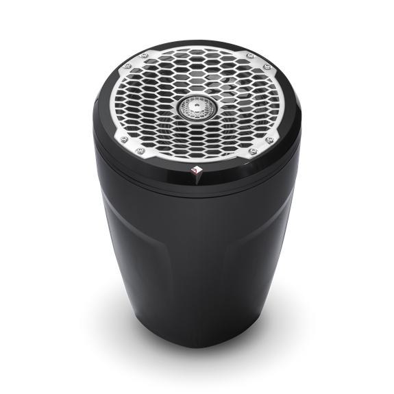 Profile View of Speaker with Mesh Grille