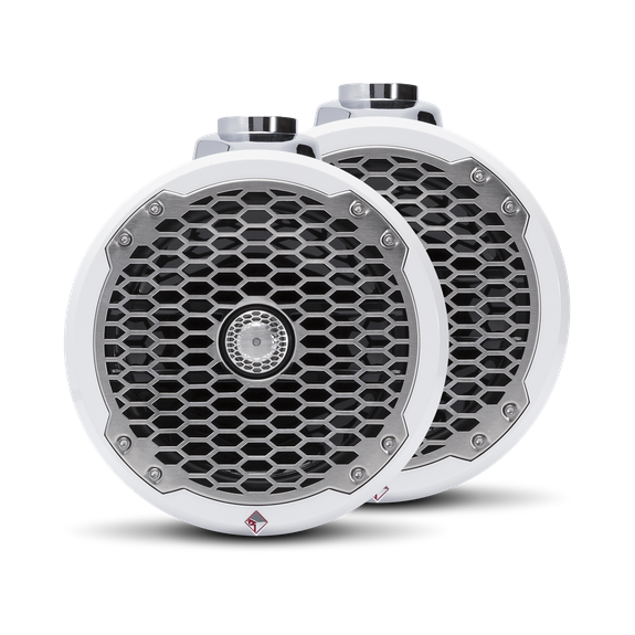 Front View of Speakers with Mesh Grille