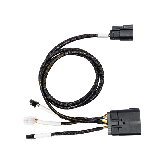 RFK-HD24 Shot of Interface Harness