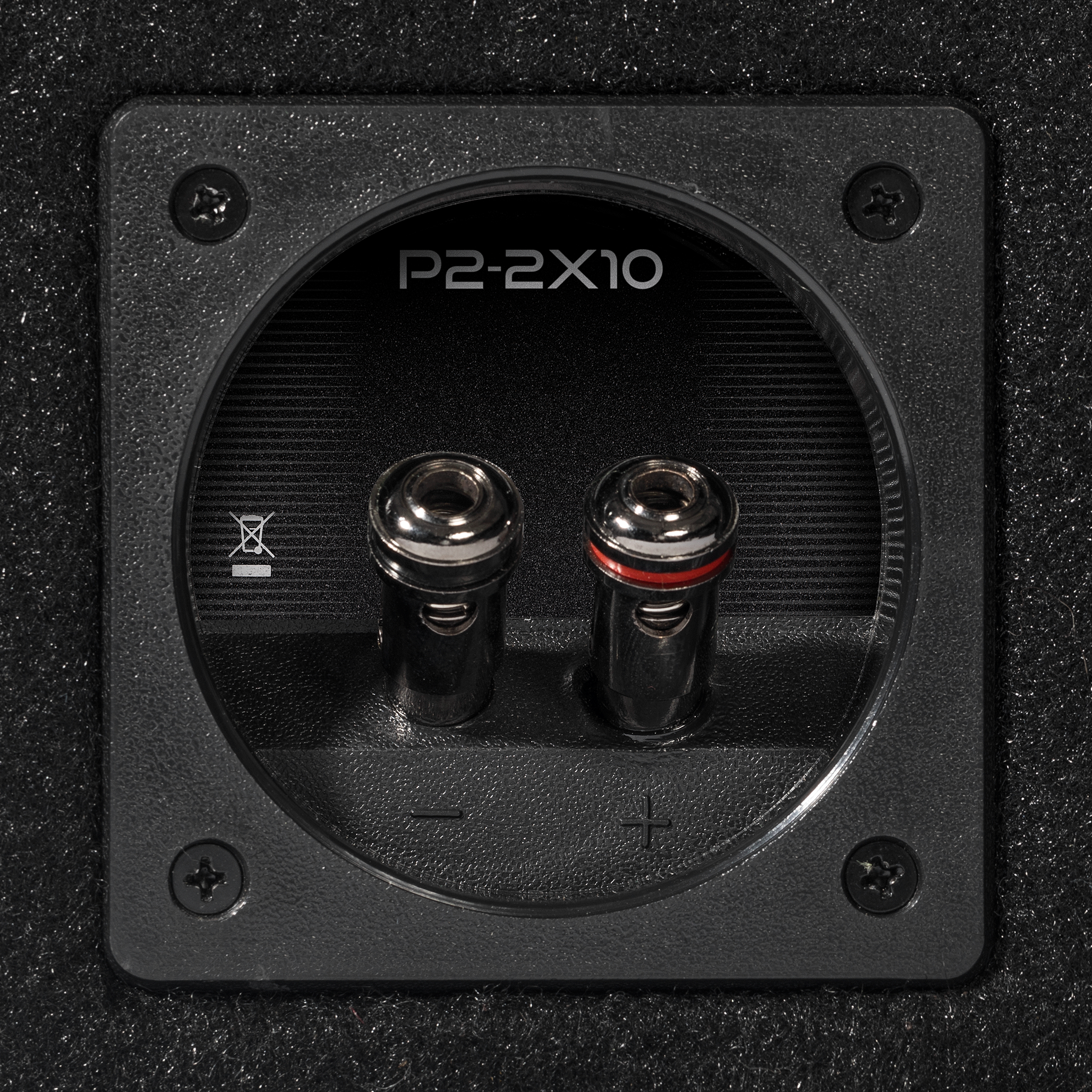 Rockford Fosgate Punch P2 DVC 10インチ Rockford Fosgate Punch P2D2-10 Dual 2-Ohm Voice Coil 10