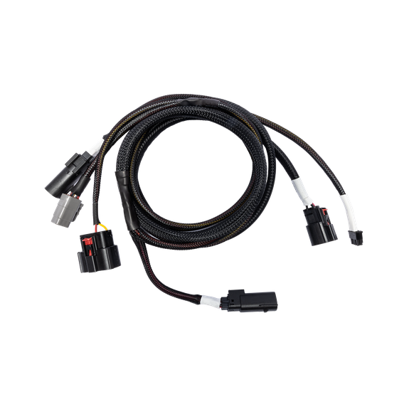 RFK-HD24 Shot of Main Harness